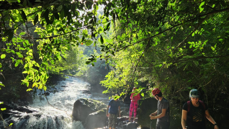 05 de Junho | Dia Mundial do Meio Ambiente: A Hora de Agir &eacute; Agora